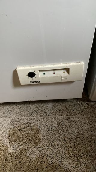 Congelador industrial en perfecto estado