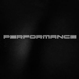 Letras parrilla PERFORMANCE (Hyundai, BMW)