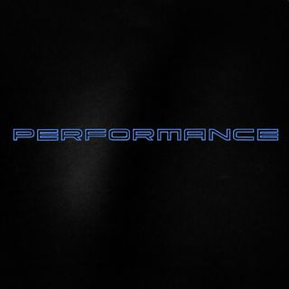 Letras parrilla PERFORMANCE (Hyundai, BMW)