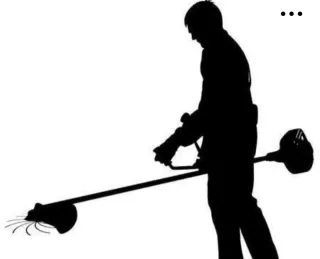 Jardineria y mantenimiento