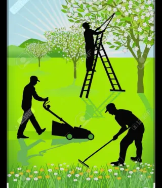 Jardineria y mantenimiento