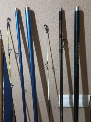 Equipo de cañas de surfcasting