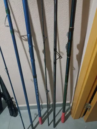 Pareja de cañas de surfcasting