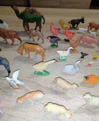 Lote animales Belén Oliver