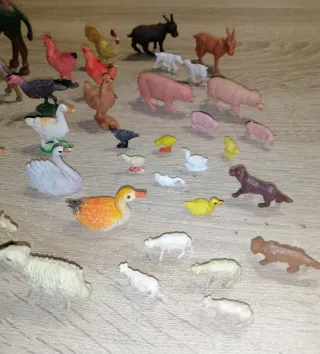 Lote animales Belén Oliver