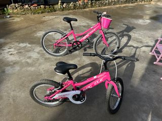 Bicicletas Biocycle Talla 16 y 20