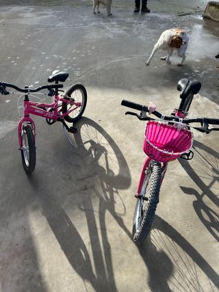 Bicicletas Biocycle Talla 16 y 20