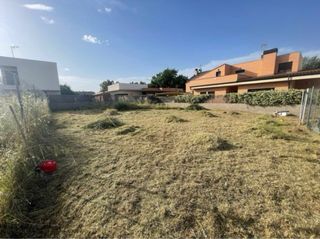 Servicios de desbroce de parcelas y terrenos