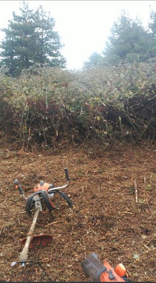 Servicios de desbroce de parcelas y terrenos