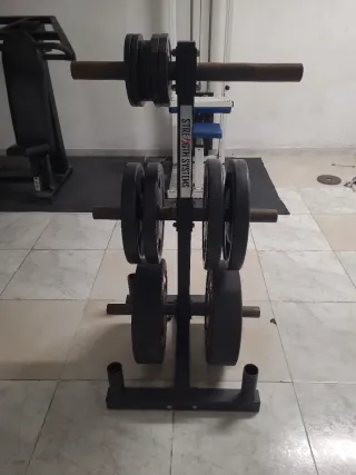 Discos de pesas y posadiscos