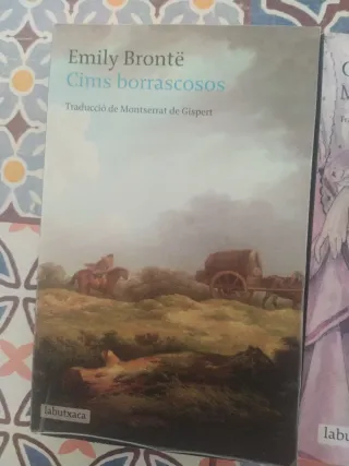 Cims borrascosos