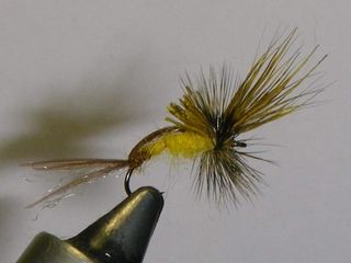 MOSCAS PARA LA PESCA DE TRUCHAS