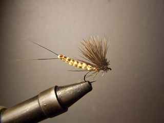 MOSCAS PARA LA PESCA DE TRUCHAS