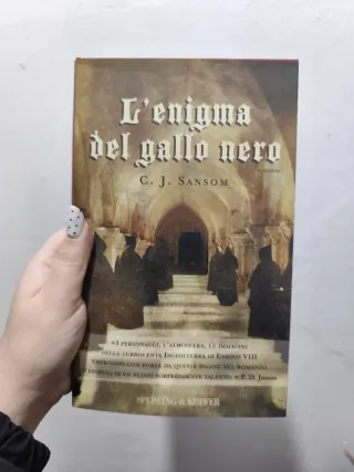 Libro "l'enigma del giallo nero"