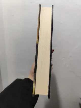 Libro "l'enigma del giallo nero"