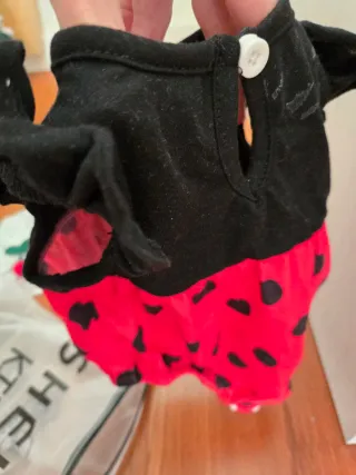 Disfraz mariquita bebé 1 mes