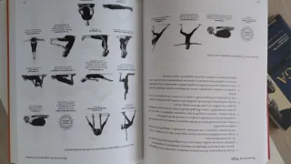 Secuencias de Yoga: Cómo crear clases