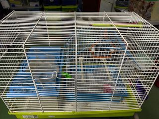 Jaula y Accesorios para Hámster pajaro y pecera