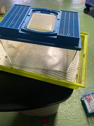 Jaula y Accesorios para Hámster pajaro y pecera