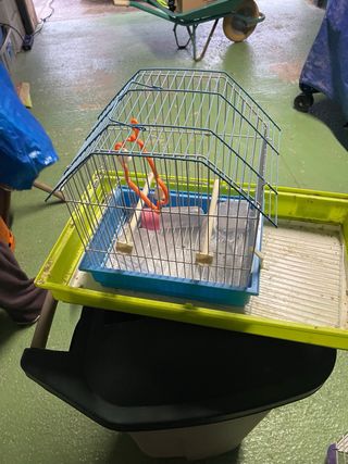 Jaula y Accesorios para Hámster pajaro y pecera