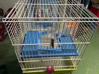Jaula y Accesorios para Hámster pajaro y pecera