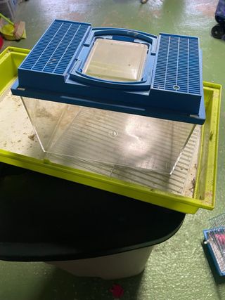 Jaula y Accesorios para Hámster pajaro y pecera