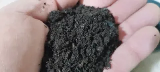 Humus de lombriz enriquecido