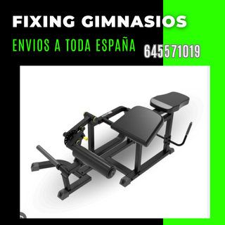 Dischi e panche da palestra