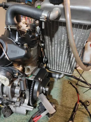 Motor Rotax Max 125 FR