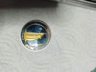 Medalla United Arab Emirates Camello