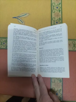 Diccionario de la limpieza, los trucos y las ch...