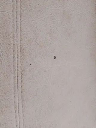 Sofá Cama Gris Tela 200 hasta el lunes por mudanza