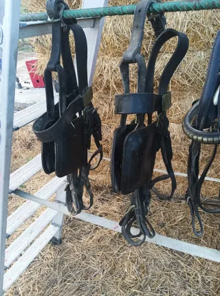 Briones (Quitipones) para caballos - 8 unidades