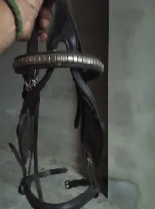 Briones (Quitipones) para caballos - 8 unidades