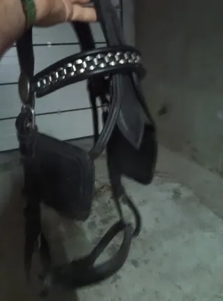 Briones (Quitipones) para caballos - 8 unidades