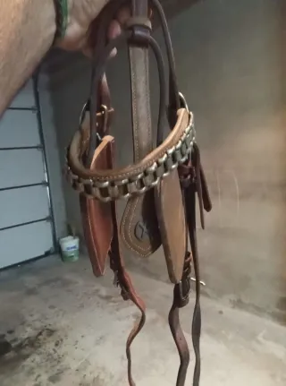 Briones (Quitipones) para caballos - 8 unidades