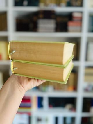 Anna Karenina. León Tolstoi