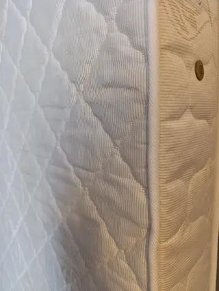 Colchón individual 80x190 aloe vera