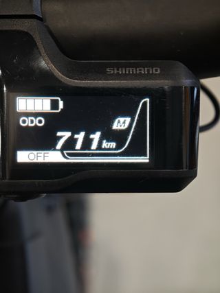 Santa Cruz Heckler C 29