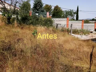 Jardinero económico