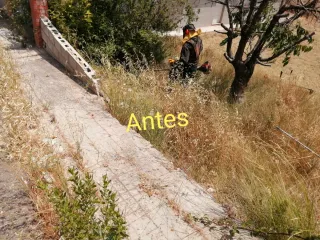 Jardinero económico