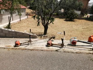 Jardinero económico