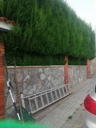 Servicio de jardinería a buen precio