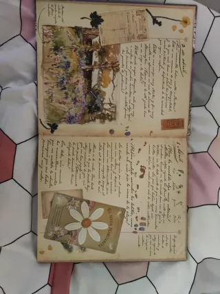 La magia de las hadas flores (Spanish Edition)