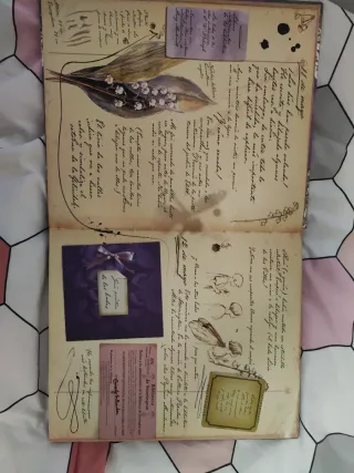 La magia de las hadas flores (Spanish Edition)