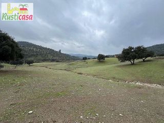 Terreno en venta en Carolina (La)