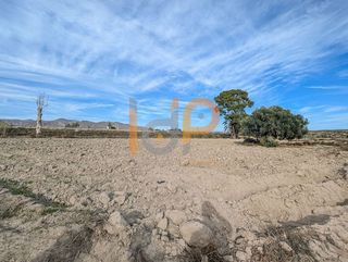 Terreno en venta en Cuevas del Almanzora pueblo en Cuevas del Almanzora