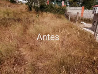 Limpieza de parcelas