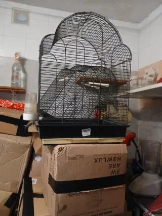 Jaula para periquitos o cotorras