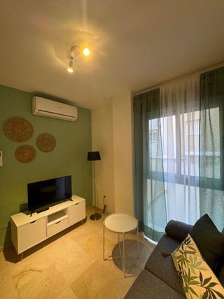 Piso en alquiler en Conde de Ureña - Monte Gibralfaro en Málaga